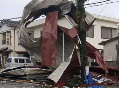 three dead as typhoon shanshan hits japan